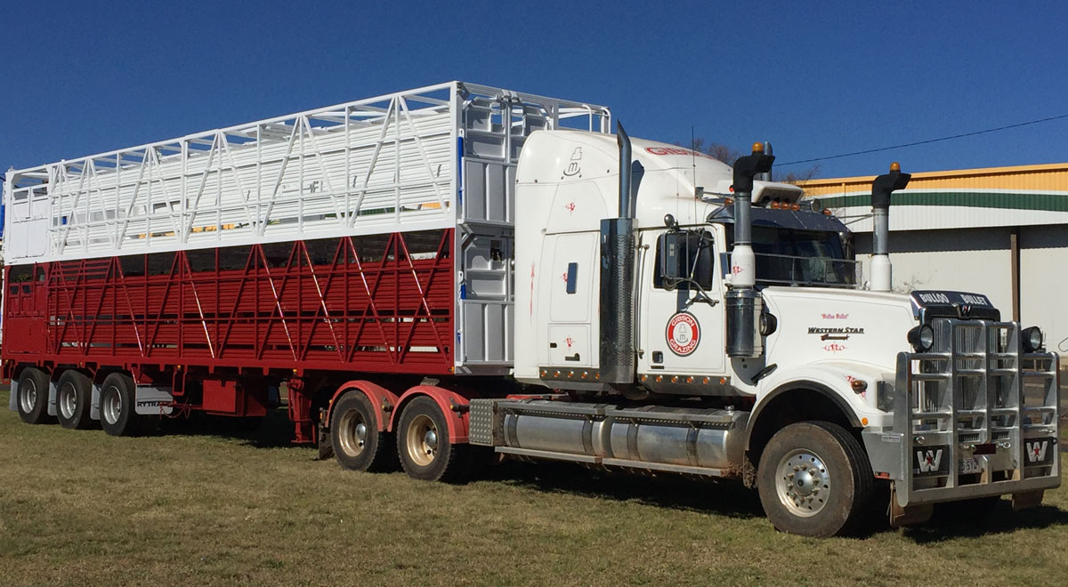 Rytrans Refurbished Cattle Trailer