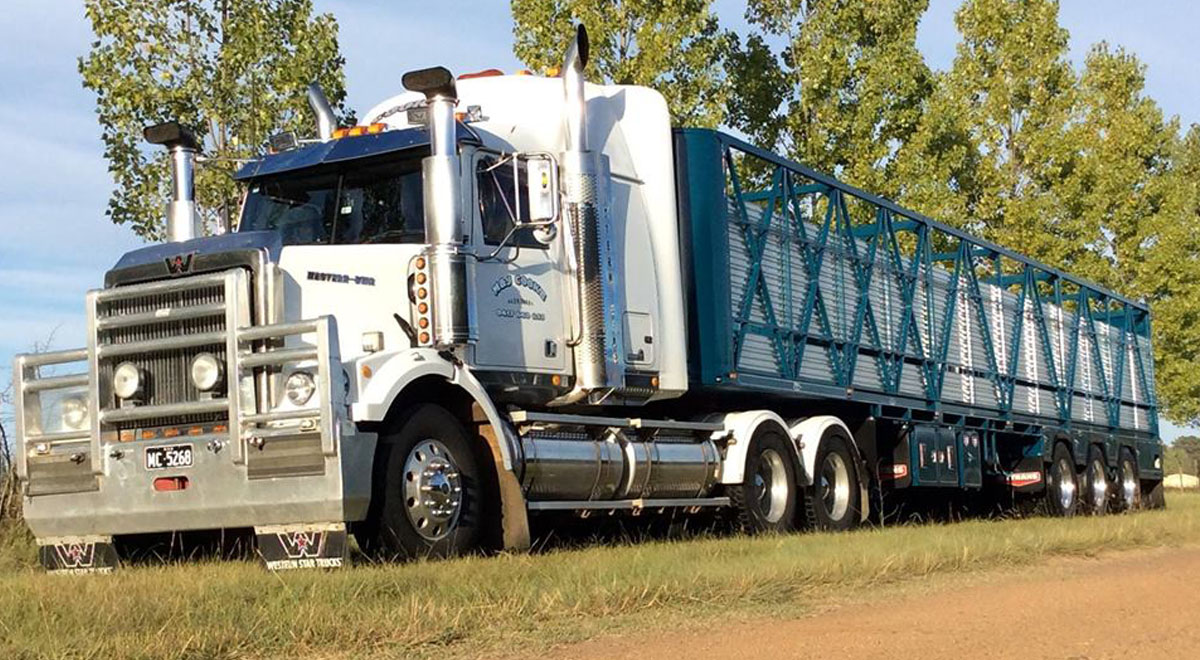 Single Deck Cattle Trailer  |  2015